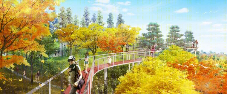 重庆广阳岛公园 | 休闲教育与自然融合的设计典范