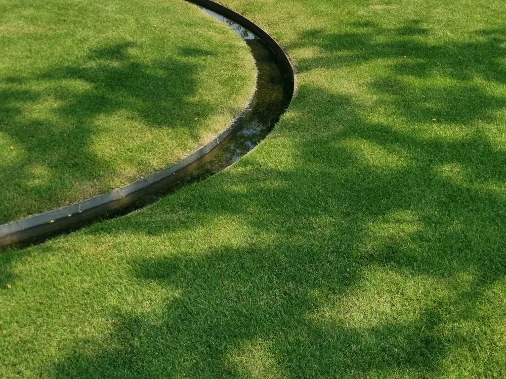 春游苏州，赏景品美食，学习景观设计