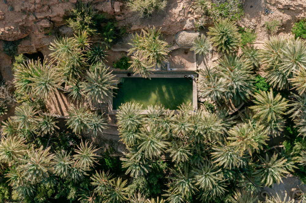 《Moroccan Oasis Transformed by Inside Outside Studio （Inside Outside 工作室将摩洛哥绿洲转型）
