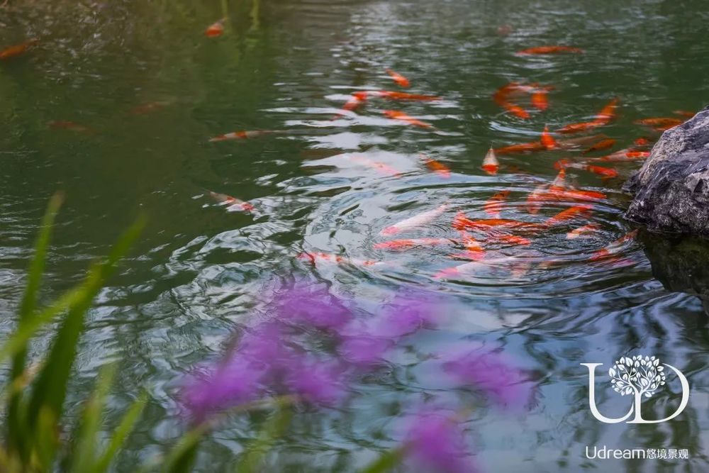 江苏常州溪栖庄园 | 地中海风格庭院，悠境景观的浪漫之作
