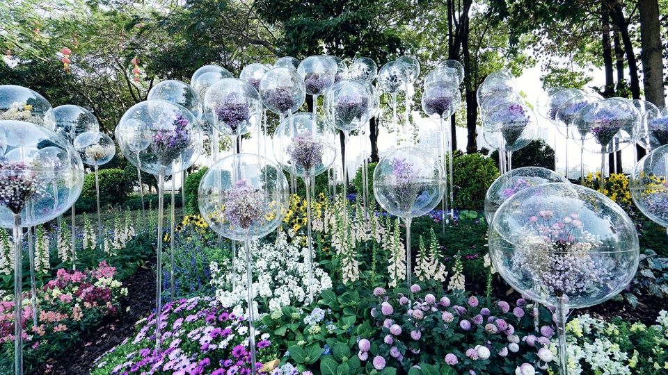 《消失的花园》 | 亚克力气球展现消失之美