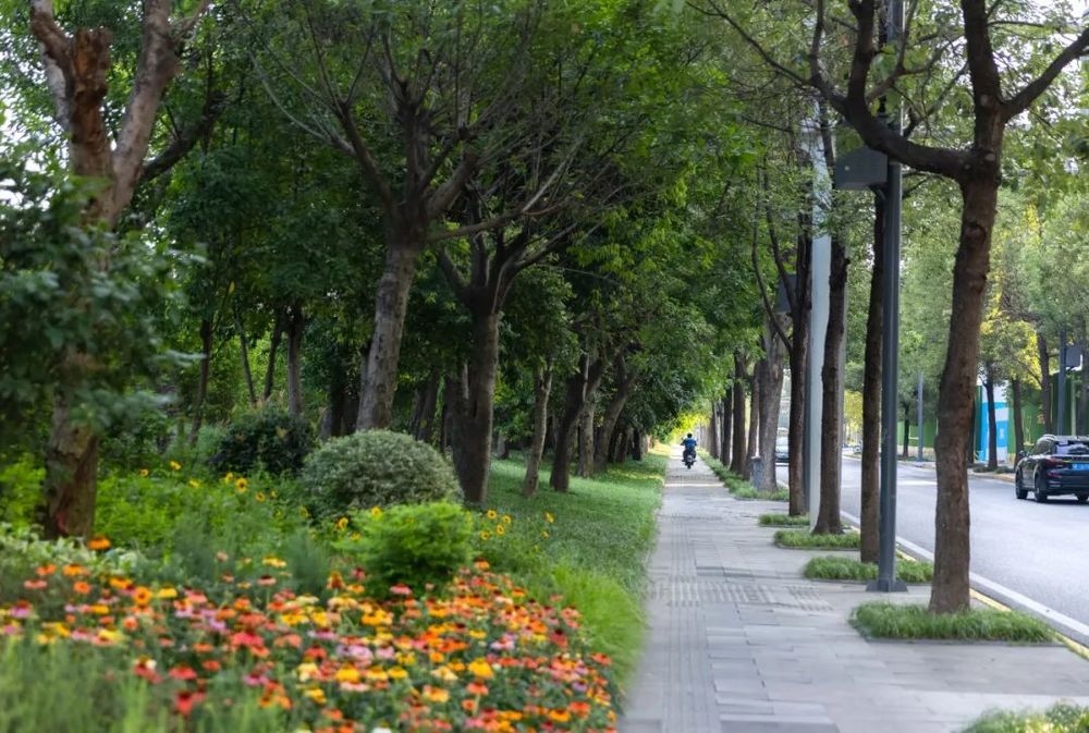 奥雅设计 | 点亮美好生活，重塑公共空间