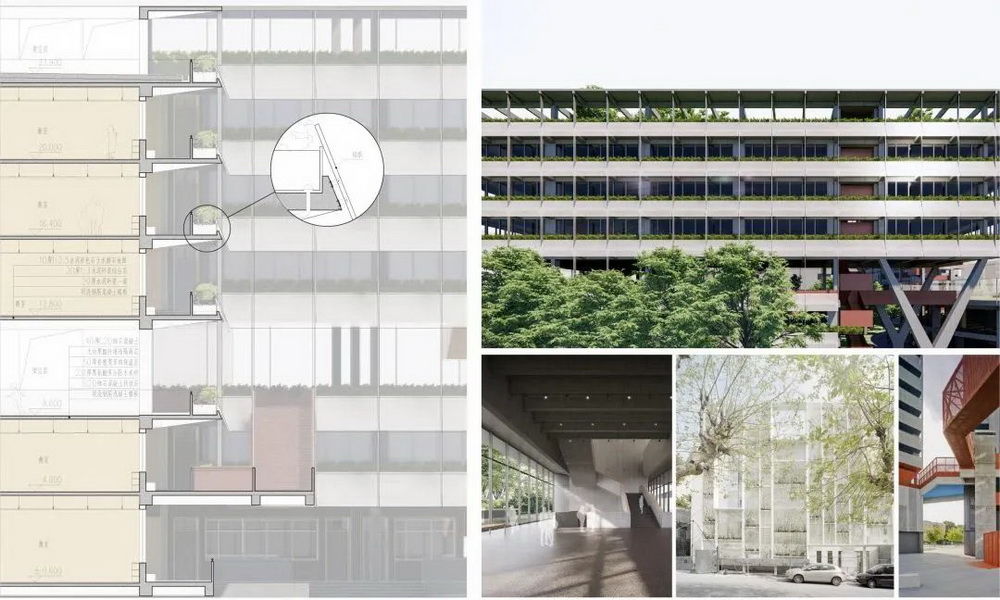 局内设计丨深圳 坂田街道宝岗小学改扩建工程  建筑设计 丨中国深圳
