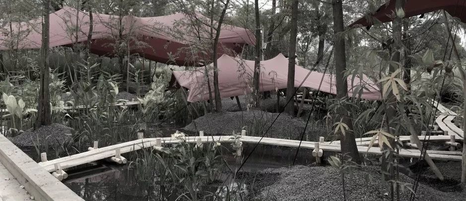 武汉花展中的波西米亚园 | 自然野趣与庭院的完美结合