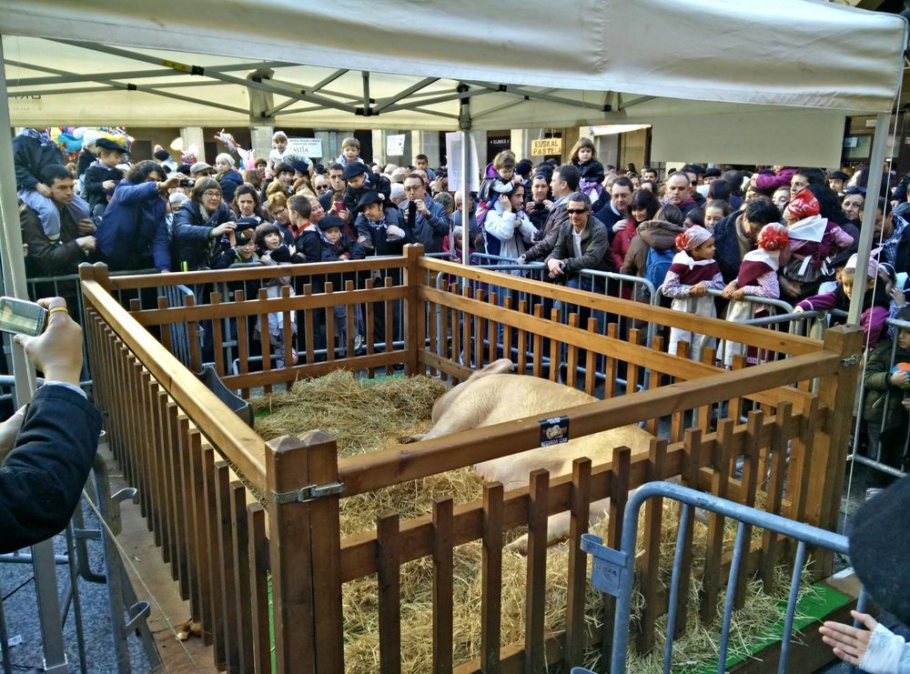 Saint Thomas's Day, San Sebastian(2020)