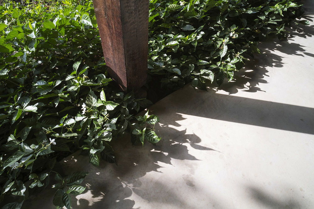 PHU MY GARDEN花园建筑，越南 / TAA Design