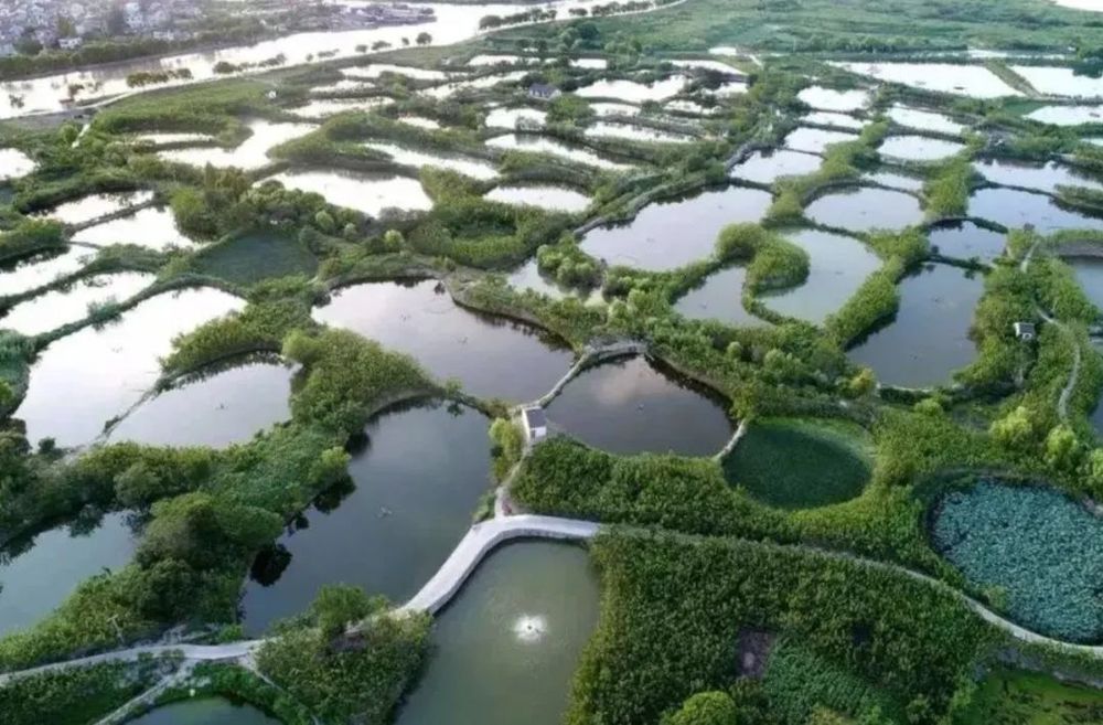 佛山一中顺德学校 | 自然中的学习场所