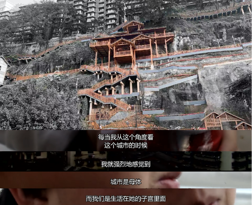生长在悬崖峭壁上的城市公园——戴家巷崖壁公园