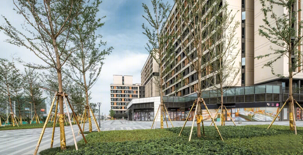花都住宅景观 | 共享社区的多功能户外空间设计