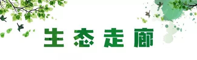 安阳生态走廊公园 | 如意河畔的绿色地标