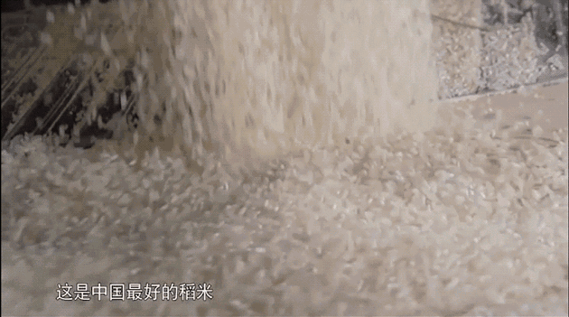 《悬崖之上》取景地，冰城哈尔滨的独特设计魅力