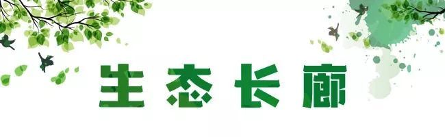 安阳生态走廊公园 | 如意河畔的绿色地标