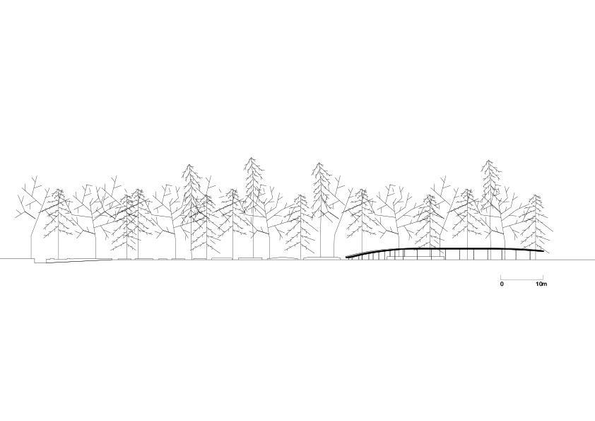波兰 SGGW 植物园 JRK72 设计的现代展馆