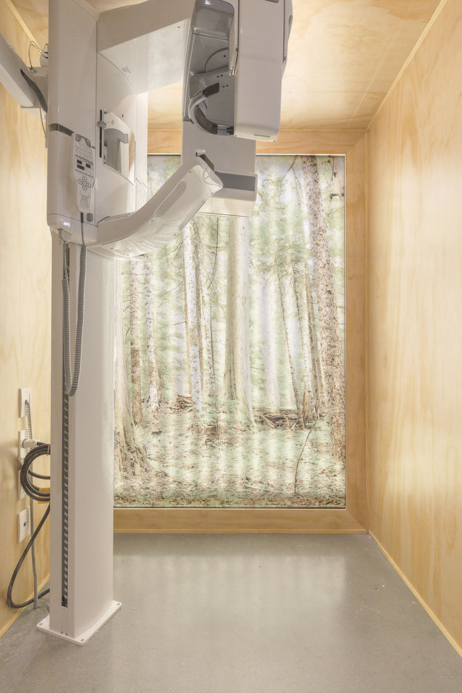 Go Orthodontistes牙科诊所，加拿大 / Natasha Thorpe Design