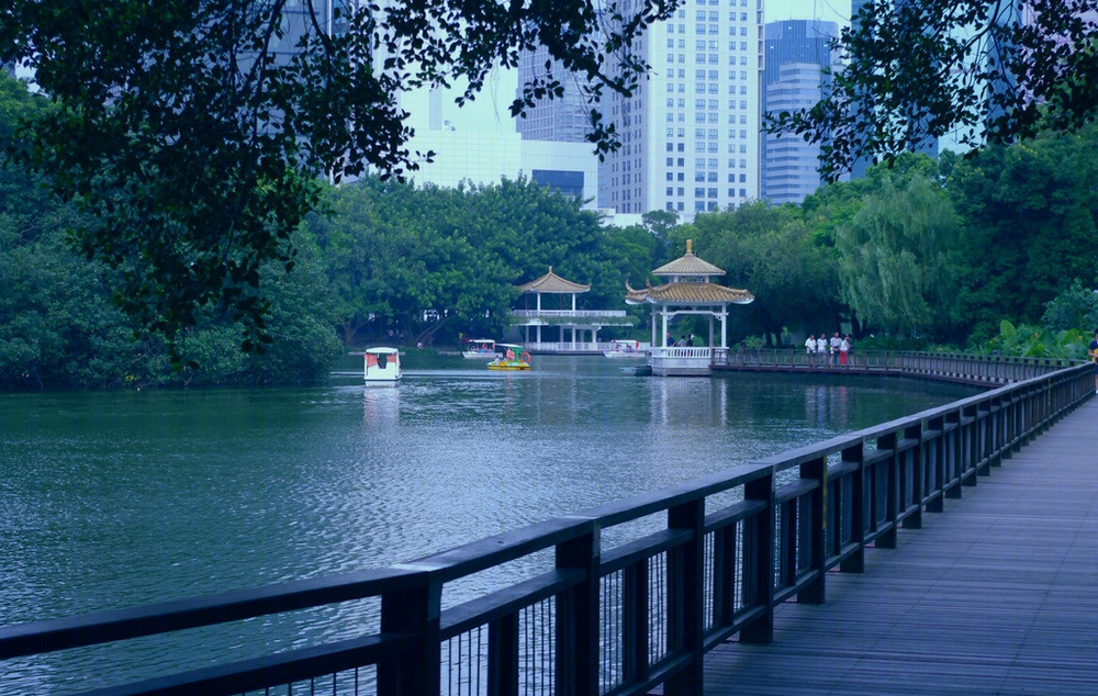 岭南风韵——深圳市荔枝公园的自然与雅致