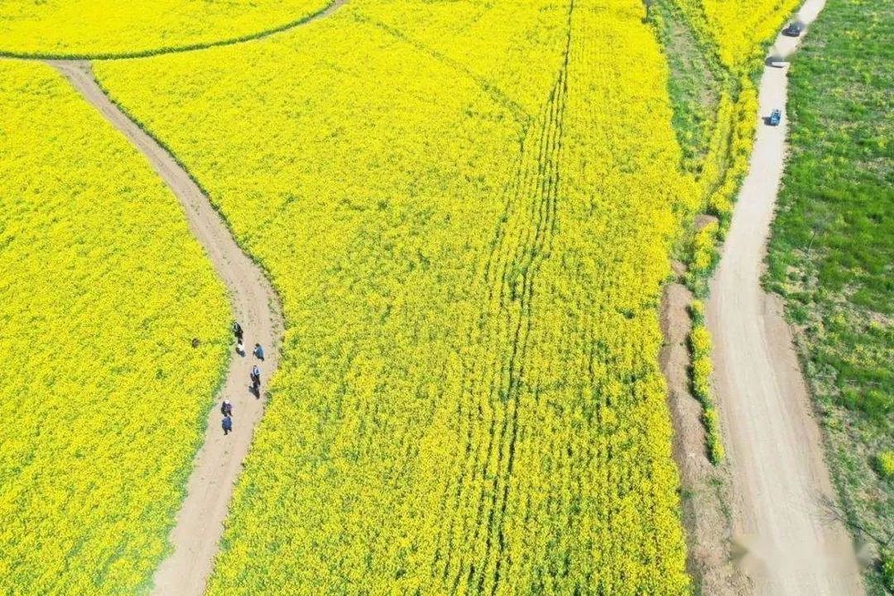 新丝路定西城市公园——融合地域文化的生态景观设计