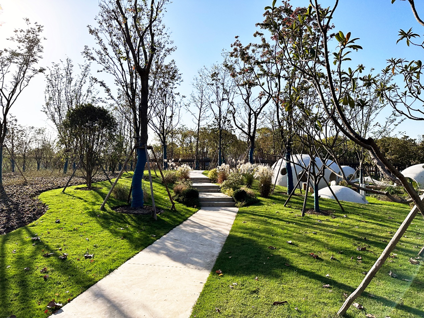 西岸自然艺术公园 | 上海市政总院 | 中国上海徐汇区