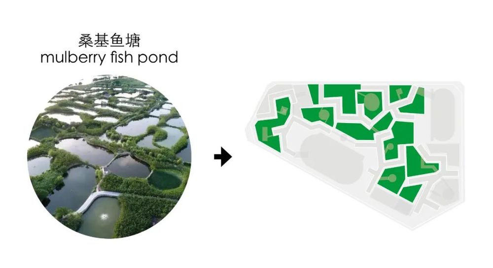 佛山一中顺德学校 | 自然中的学习场所