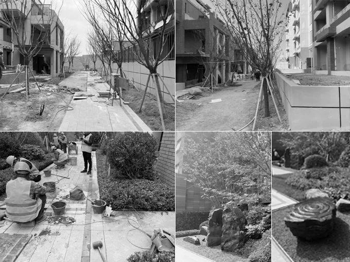 青岛龙湖光年·林间 | 自然与艺术的和谐交融