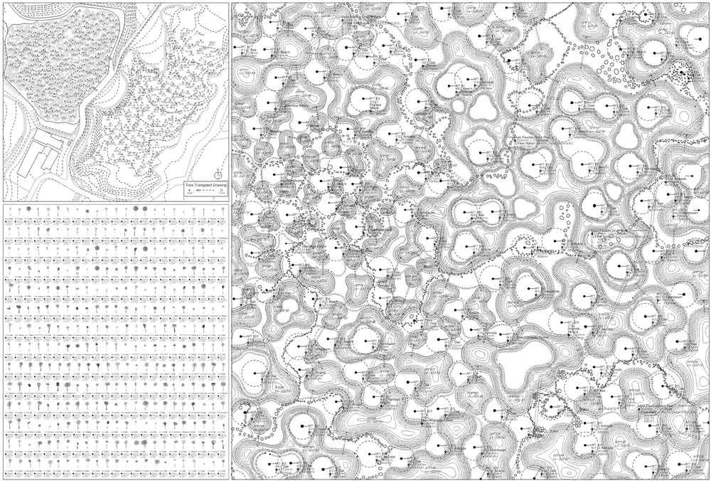 Botanical Garden Art Biotop / Water Garden