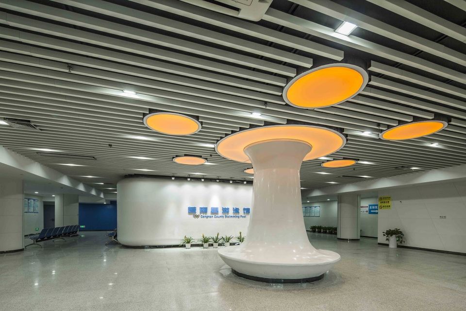苍南体育中心 | 型钢桁架结构与曲线美学的完美结合
