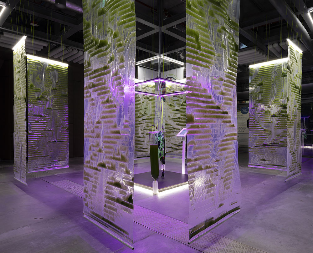 “AirBubble”空气净化游乐场，华沙 / ecoLogicStudio