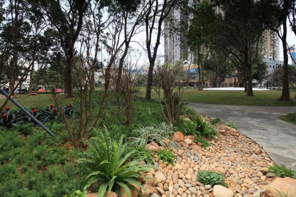 深圳福田区景田北社区公园群 | 首个社区公园群的设计魅力