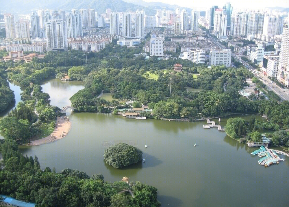 岭南风韵——深圳市荔枝公园的自然与雅致