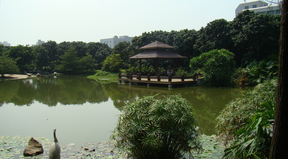 岭南风韵——深圳市荔枝公园的自然与雅致