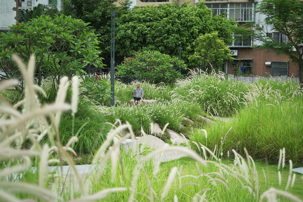 废弃地重生 | 深圳梅丰社区公园激活社区生活