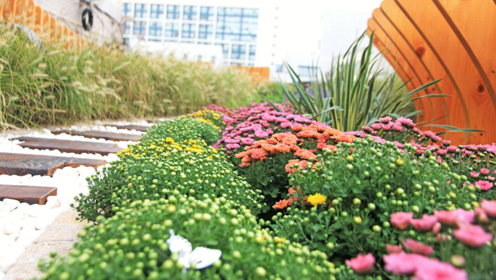 同济大学 JOY GARDEN | 屋顶实验花园的绿色创新