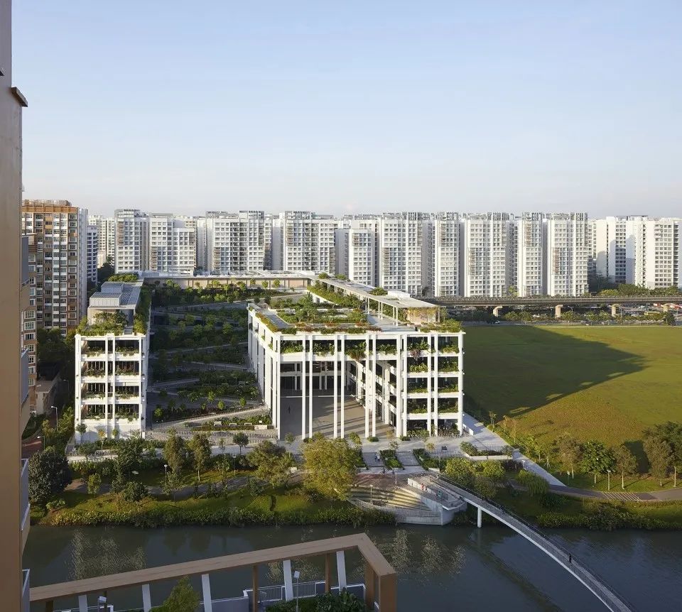城市绿洲 | 屋顶花园的设计魅力与挑战