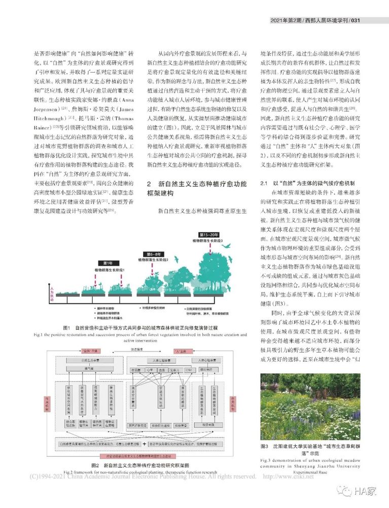 健康城市背景下的新自然主义生态种植疗愈功能框架研究