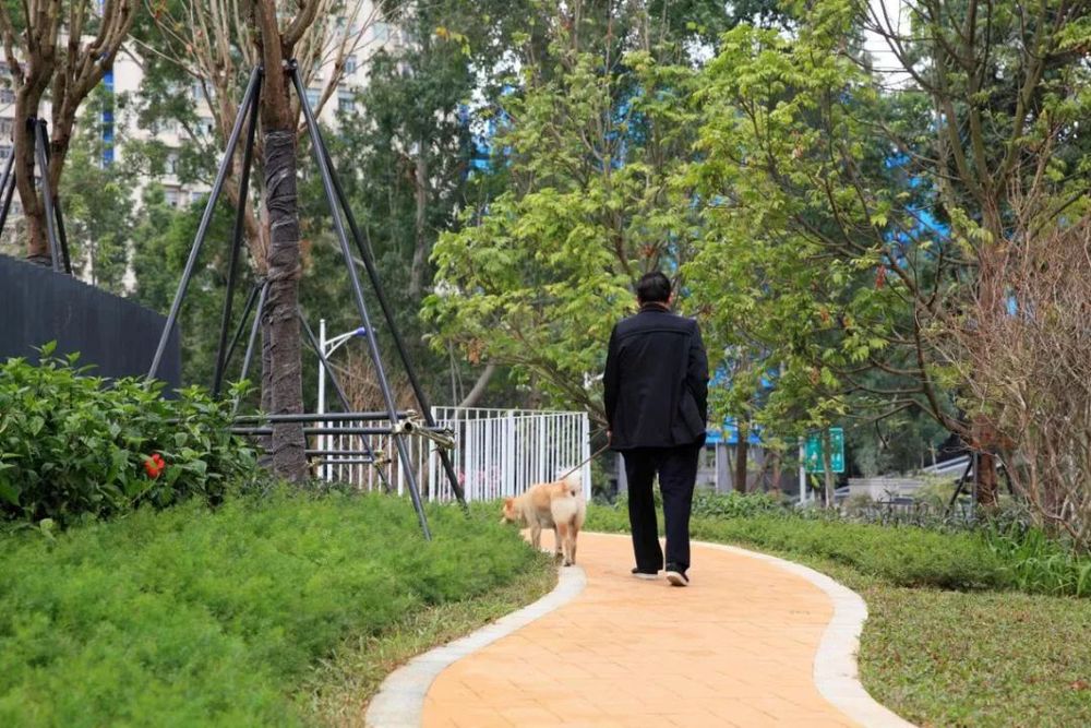 深圳福田区景田北社区公园群 | 首个社区公园群的设计魅力