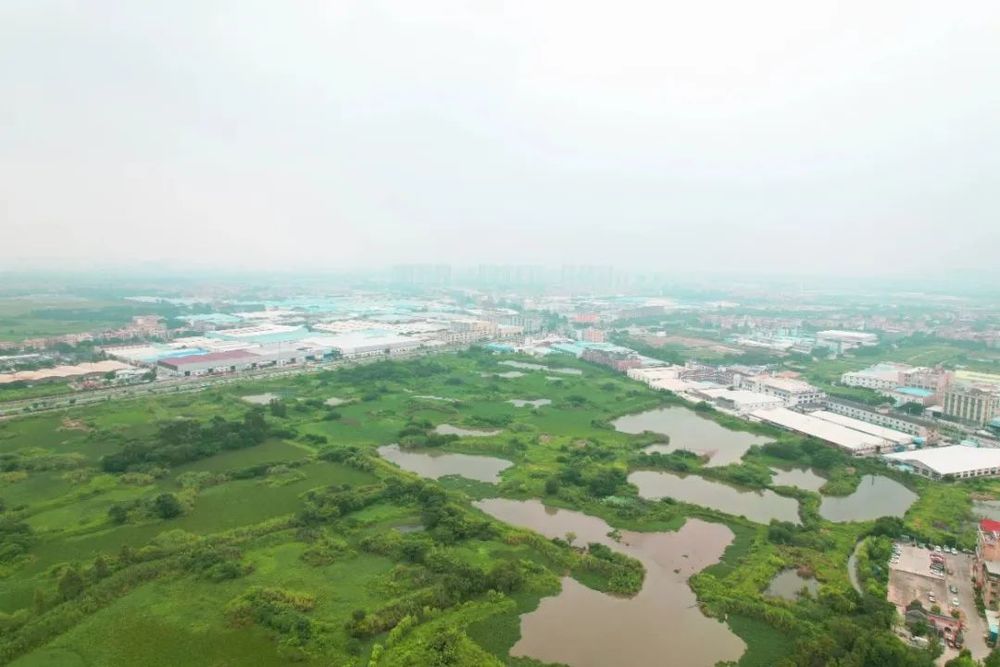 佛山一中顺德学校 | 自然中的学习场所