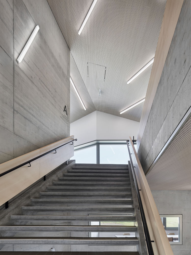 Niederwangen-Ried School and Sports Fields / Büning-Pfaue Kartmann Architekten