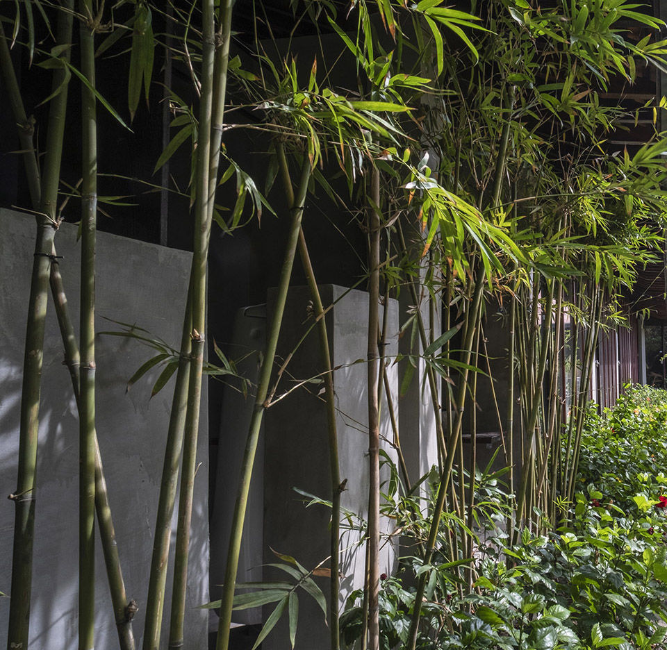 PHU MY GARDEN花园建筑，越南 / TAA Design