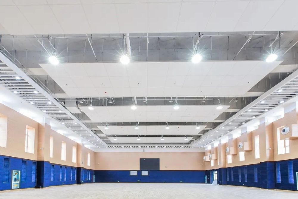 集约化中小学建筑设计 | 以空中平台和垂直布局为例