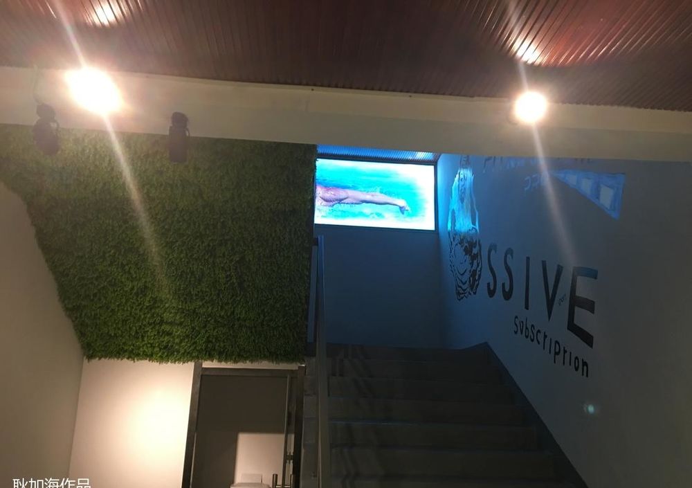 耿加海打造豪华健身游泳瑜伽会所