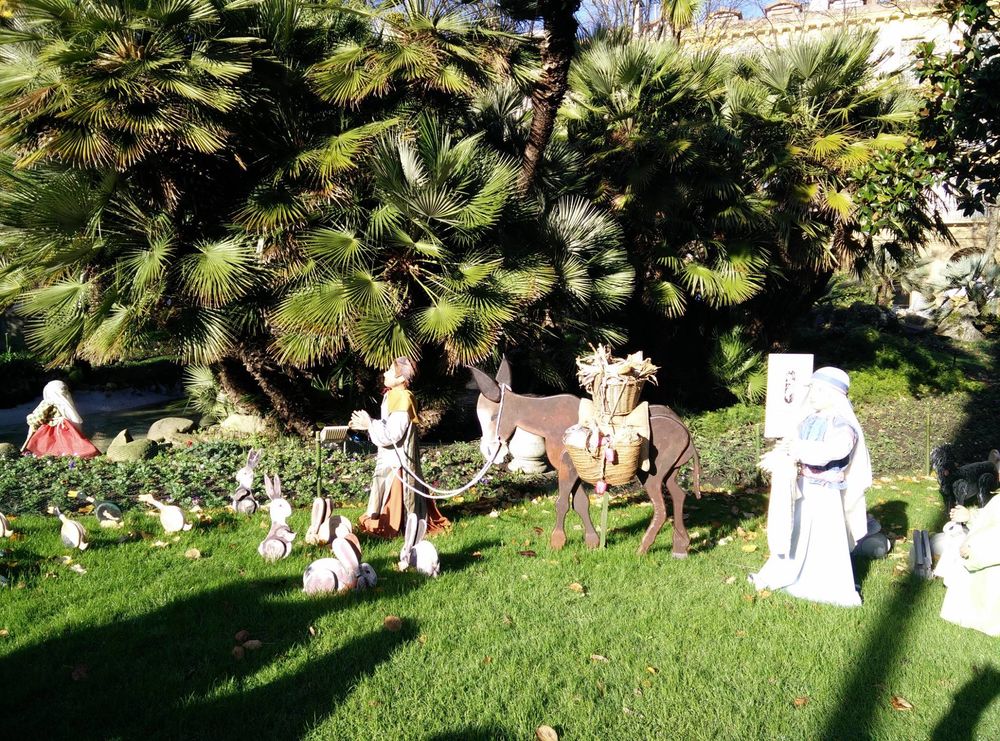 Saint Thomas's Day, San Sebastian(2020)