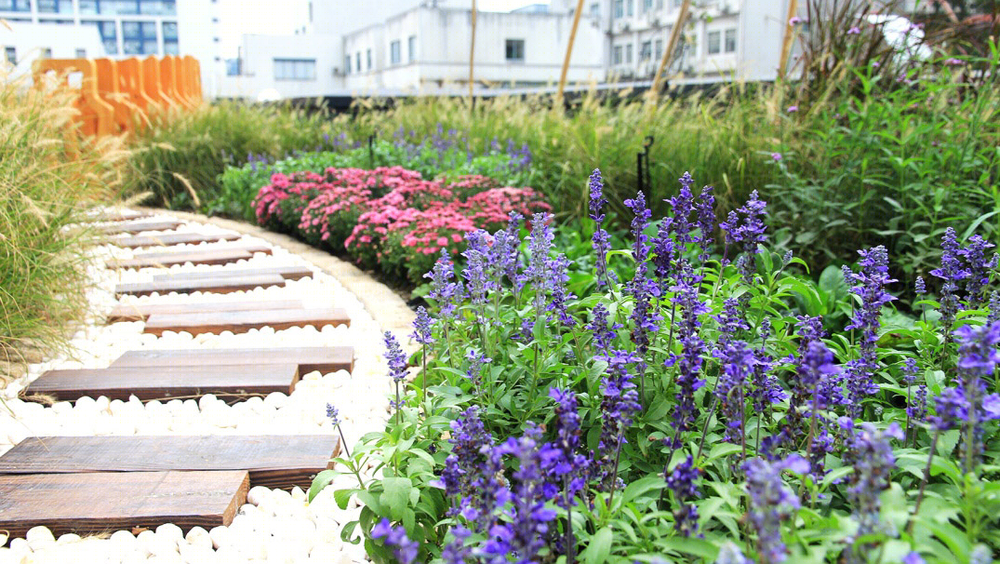 同济大学 JOY GARDEN | 屋顶实验花园的绿色创新
