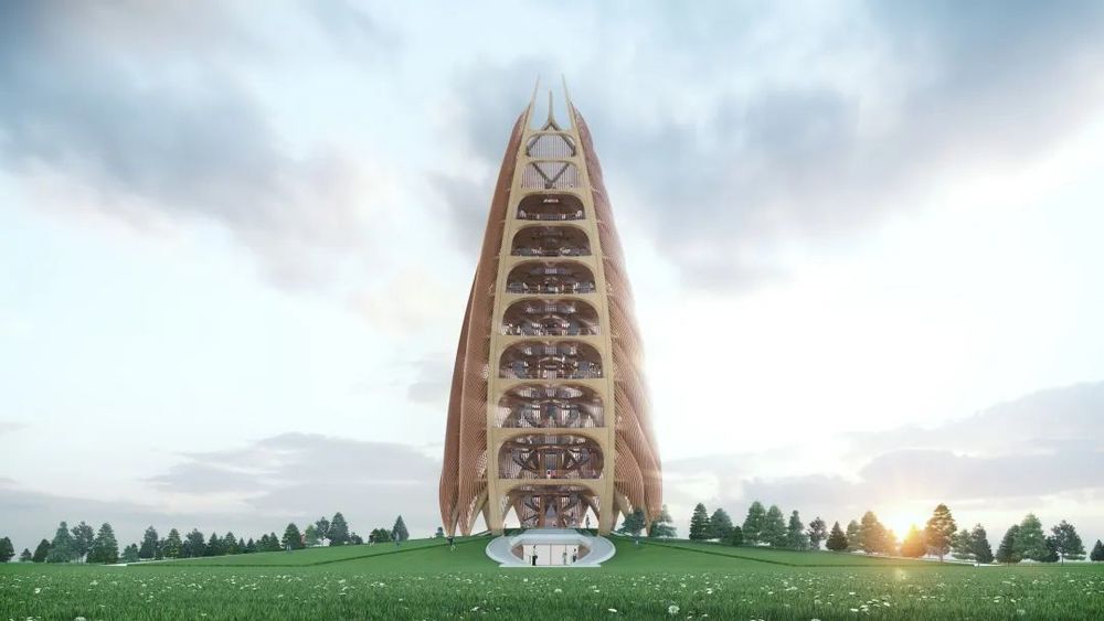 春笋破土，守护熊猫星球——成都熊猫基地景观瞭望塔设计