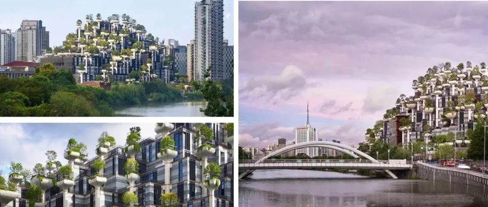 城市绿洲 | 屋顶花园的设计魅力与挑战