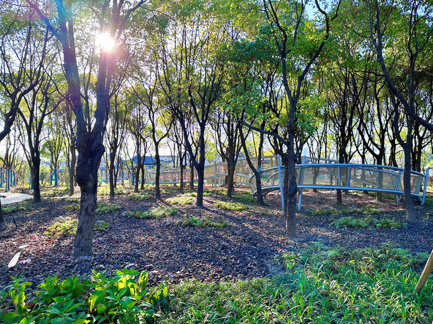 西岸自然艺术公园 | 上海市政总院 | 中国上海徐汇区