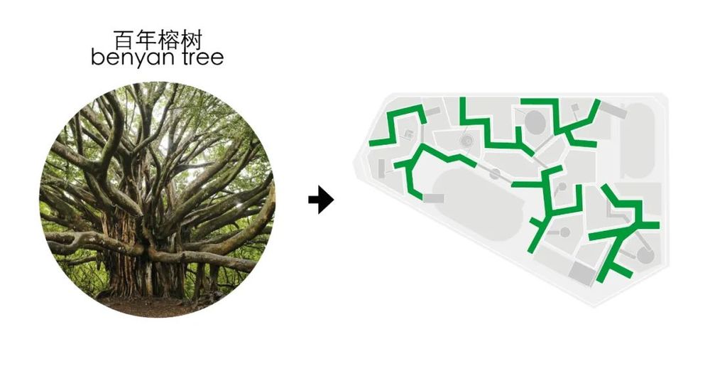 佛山一中顺德学校 | 自然中的学习场所