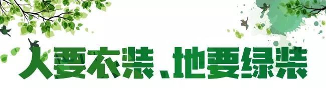 安阳生态走廊公园 | 如意河畔的绿色地标