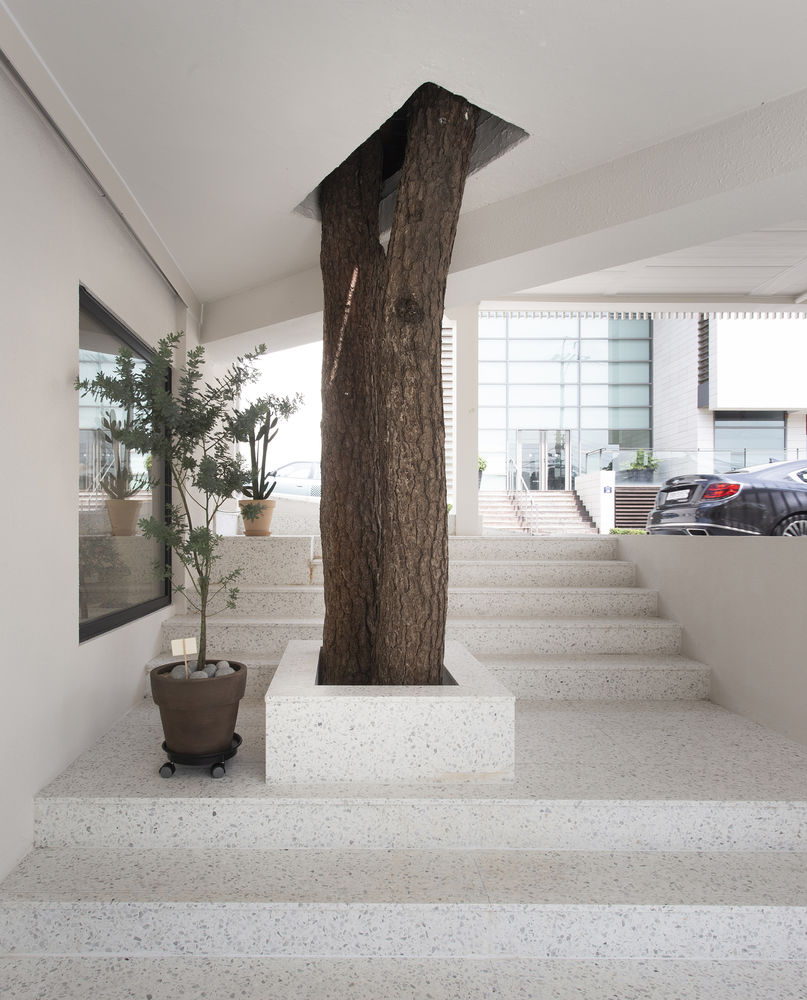 MASS Arts Plastiques Gallery / Form & Function