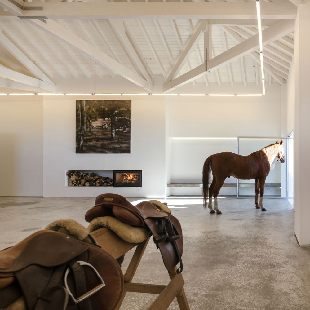 Landscape Observatory of Charneca / Joao Morais