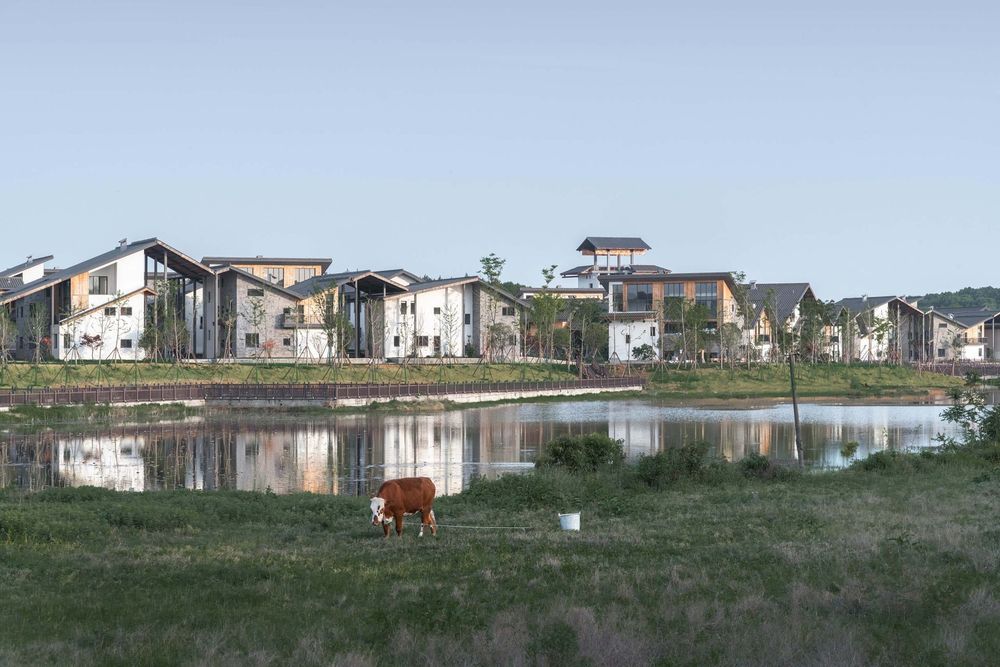 Duan Wu Community / ZAOZUO ARCHITECTURE STUDIO