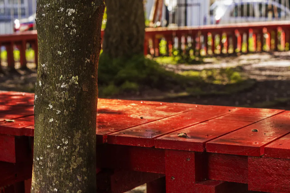 Infinity Bench